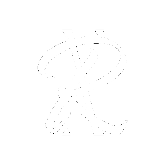 Novo Rich